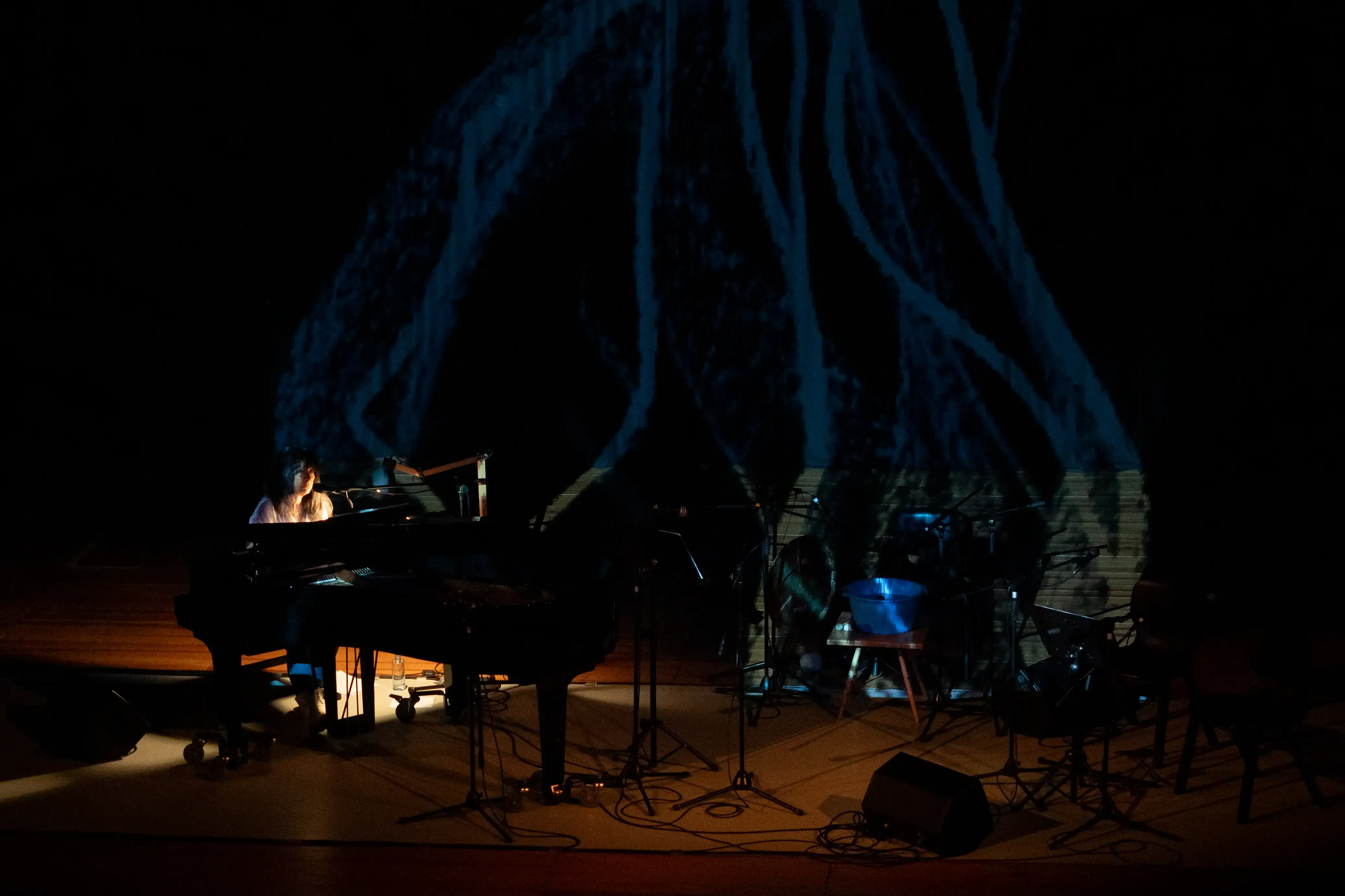 Uma mulher a tocar piano de cauda. Ao fundo está projetada a imagem, em azul, de raízes